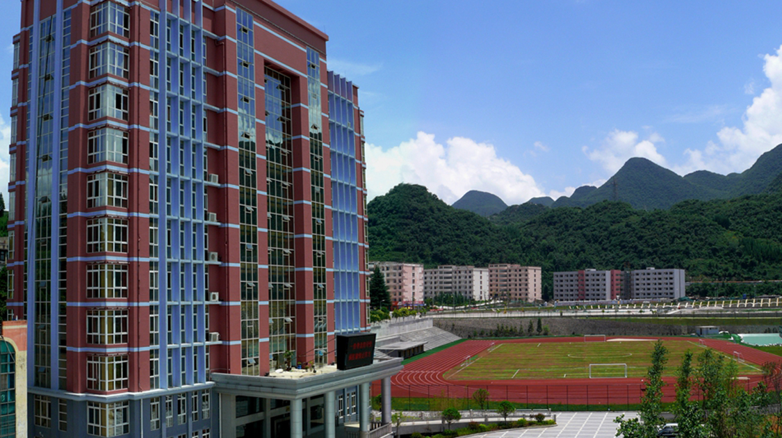 甜橙生涯高考志愿填报 生涯规划