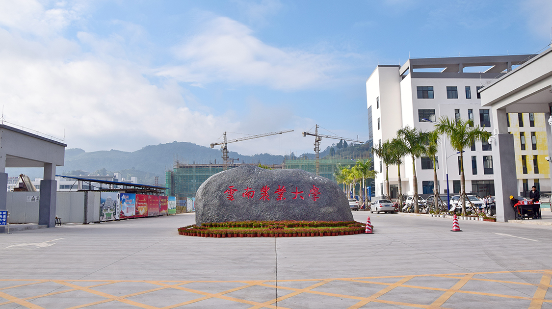 云南云南省普洱市思茅区思亭路3号电话:0879-2206624    0879-2201617